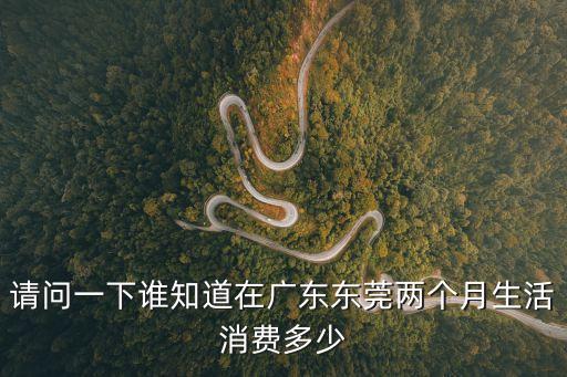 2019東莞人均消費支出，請問一下誰知道在廣東東莞兩個月生活消費多少