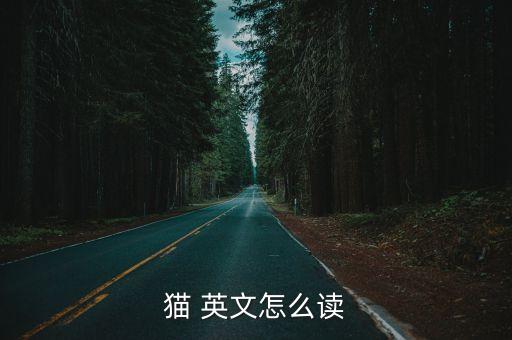 貓 英文怎么讀