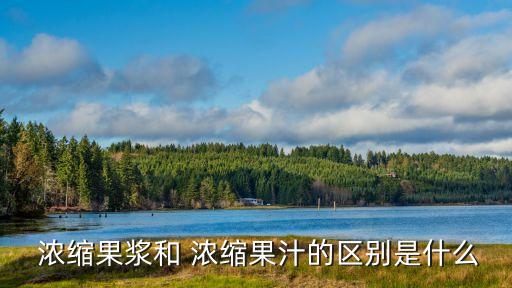 濃縮汁,濃縮果汁:將水果壓榨成原汁經(jīng)高溫蒸發(fā)去部分水分制成