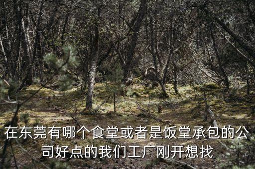 在東莞有哪個食堂或者是飯堂承包的公司好點的我們工廠剛開想找