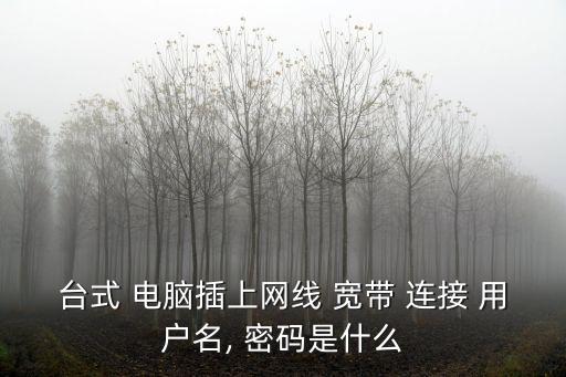 臺式 電腦插上網線 寬帶 連接 用戶名, 密碼是什么