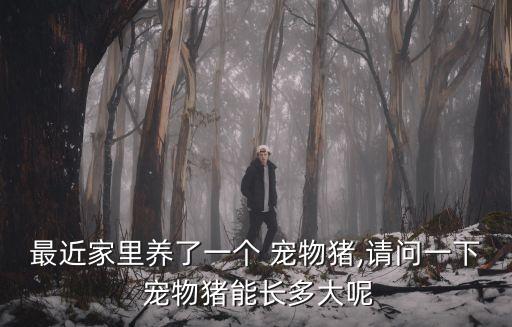 最近家里養了一個 寵物豬,請問一下 寵物豬能長多大呢