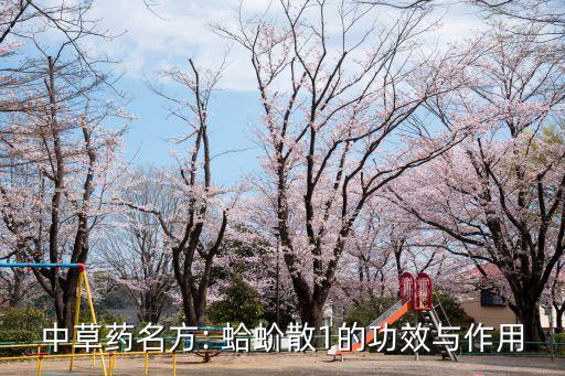 蛤蚧的功效與作用,蛤31博濟坊卷二人參蛤粉,遼濤蛤雞湯