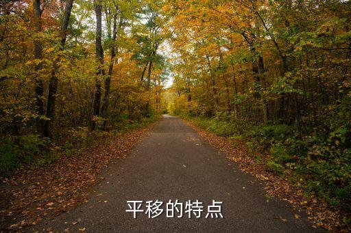 平移的特點