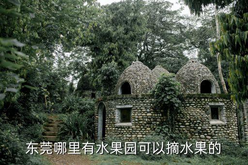 深圳或者東莞哪里有西瓜摘，東莞常平哪里有水果摘