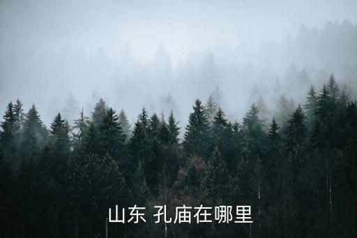  山東 孔廟在哪里