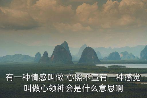 有一種情感叫做 心照不宣有一種感覺叫做心領神會是什么意思啊