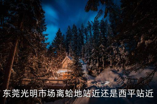 東莞光明市場離蛤地站近還是西平站近