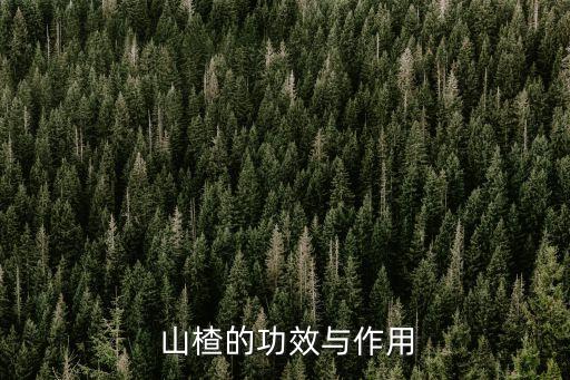  山楂的功效與作用