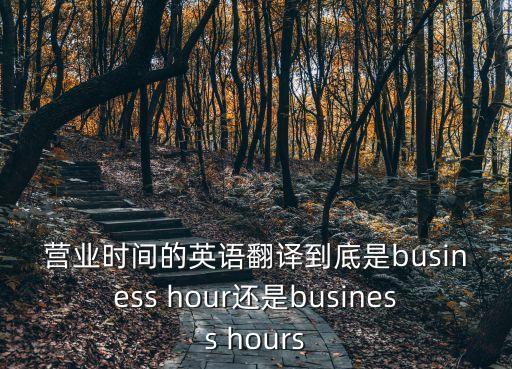 營業時間的英語翻譯到底是business hour還是business hours