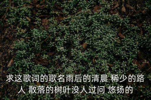 求這歌詞的歌名雨后的清晨 稀少的路人 散落的樹葉沒人過問 悠揚(yáng)的
