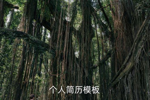 簡歷設計模板，簡歷格式模板