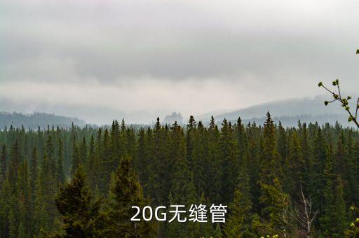 20G無縫管