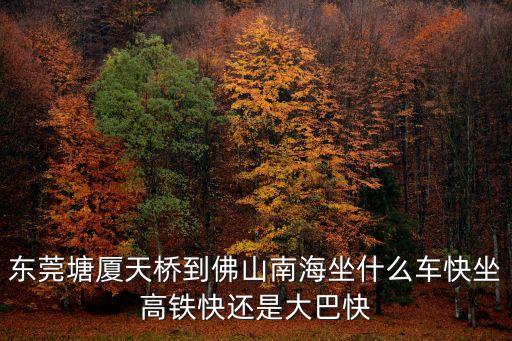 東莞塘廈天橋到佛山南海坐什么車快坐高鐵快還是大巴快