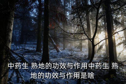 熟地的功效和作用