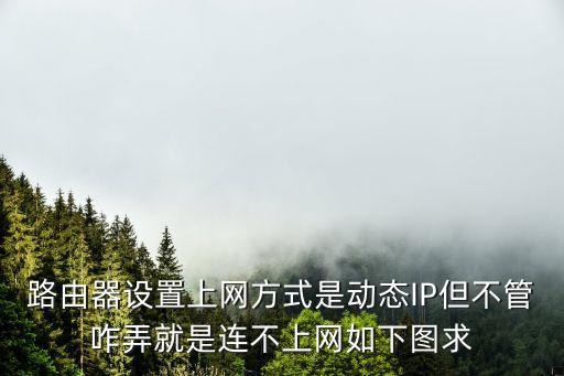 動態ip上網，wlan設置動態ip什么意思