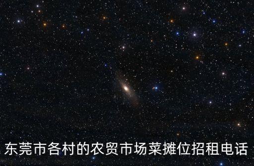 東莞市各村的農貿市場菜攤位招租電話