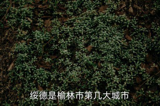 榆林是幾線城市，綏德是榆林市第幾大城市