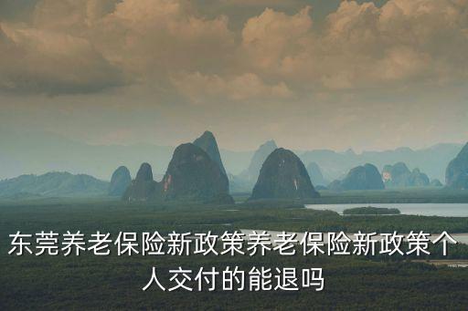 東莞養(yǎng)老保險新政策養(yǎng)老保險新政策個人交付的能退嗎