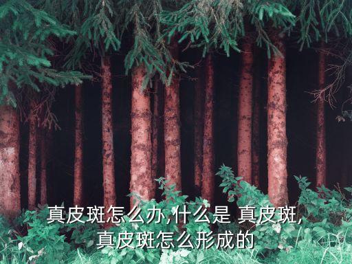 真皮斑,真皮斑點和雀斑有什么區別?