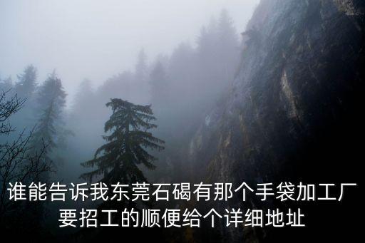 誰能告訴我東莞石碣有那個手袋加工廠要招工的順便給個詳細地址
