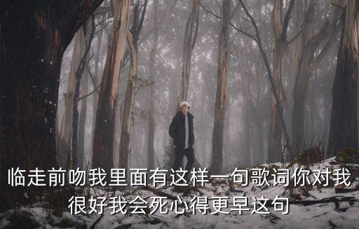 臨走前吻我里面有這樣一句歌詞你對我很好我會死心得更早這句