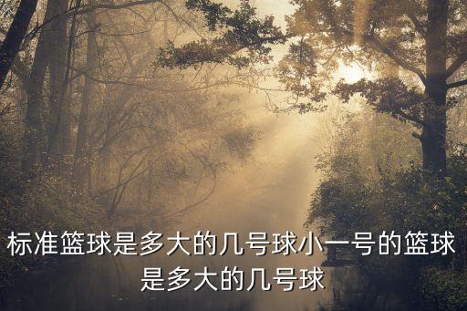 標準籃球是多大的幾號球小一號的籃球是多大的幾號球