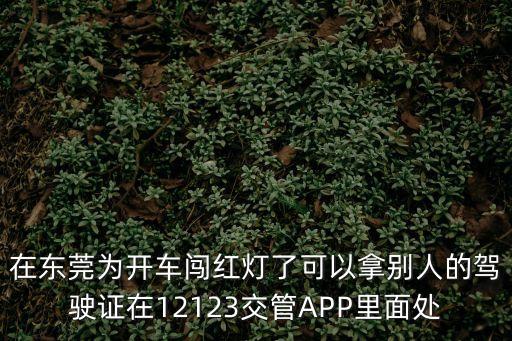 在東莞為開車闖紅燈了可以拿別人的駕駛證在12123交管APP里面處