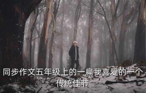 同步作文五年級上的一扁我喜愛的一個傳統佳節