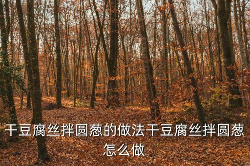 干豆腐絲，風(fēng)味干豆腐絲的做法