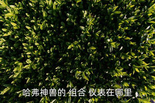 組合儀表,朗威pro組合儀表設置方法（見圖說明）
