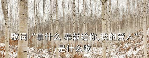 歌詞“拿什么 奉獻給你,我的愛人”是什么歌