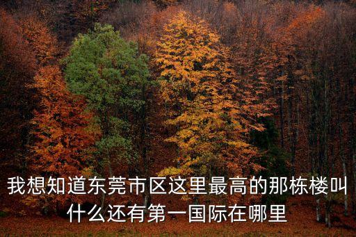 我想知道東莞市區(qū)這里最高的那棟樓叫什么還有第一國(guó)際在哪里