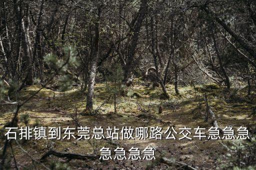 石排鎮到東莞總站做哪路公交車急急急急急急急