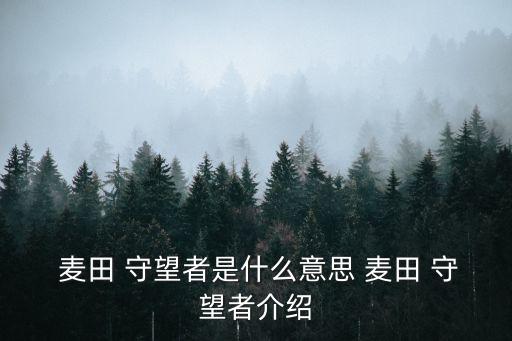  麥田 守望者是什么意思 麥田 守望者介紹