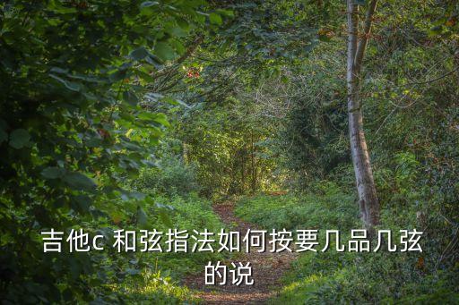  吉他c 和弦指法如何按要幾品幾弦的說