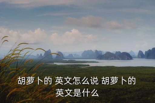 胡蘿卜的英文單詞,意大利女子用胡蘿卜做成誘餌釣魚獲獎