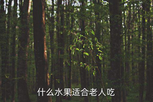什么水果適合老人吃