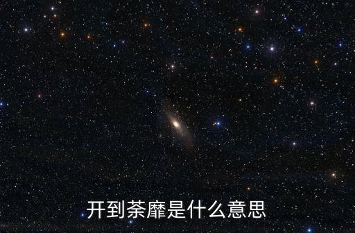 開到荼靡什么意思，開到荼靡是什么意思