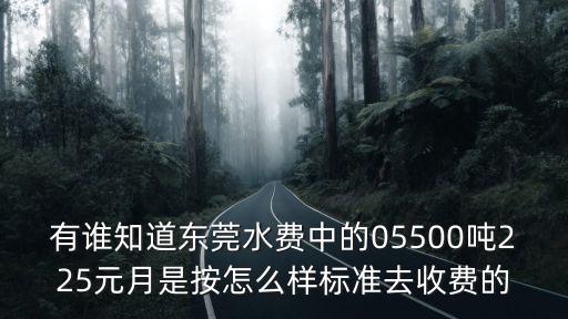 有誰知道東莞水費(fèi)中的05500噸225元月是按怎么樣標(biāo)準(zhǔn)去收費(fèi)的