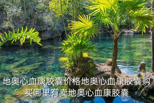 地奧心血康膠囊價格地奧心血康膠囊購買哪里有賣地奧心血康膠囊