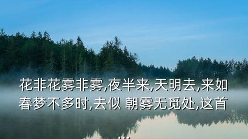 朝霧一花,晨光|紙上風云:霧里花開花謝花開不停歇