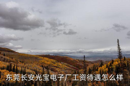 東莞長安光寶電子廠工資待遇怎么樣