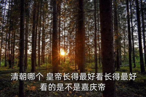 清朝皇帝照片,清朝十二皇帝畫像和真人相似可信度較高
