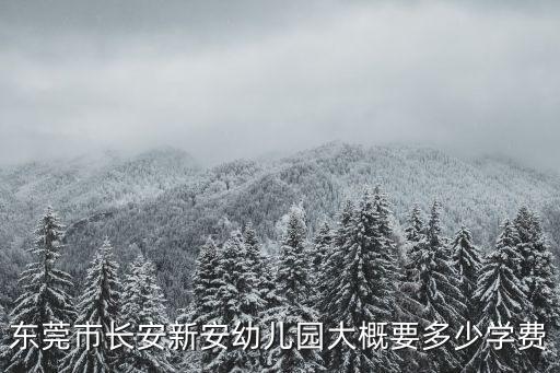 東莞2020民辦幼兒園收費(fèi)標(biāo)準(zhǔn)，東莞市長(zhǎng)安新安幼兒園大概要多少學(xué)費(fèi)