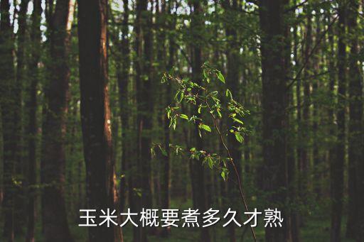 玉米大概要煮多久才熟