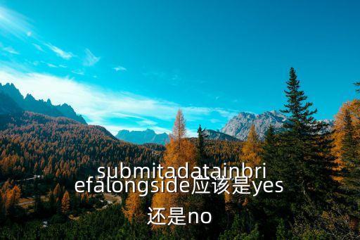  submitadatainbriefalongside應該是yes還是no