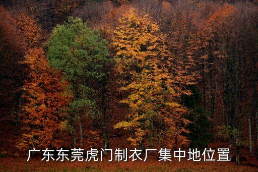 廣東東莞虎門制衣廠集中地位置