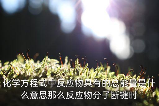 新動能引領東莞蝶變騰飛，氫氣和氟氣混合在黑暗處即可發生爆炸而釋放出大量的熱量在反應過程