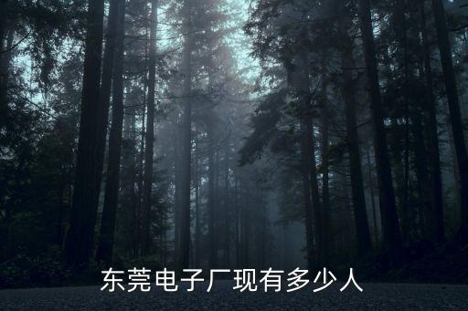 東莞電子廠現有多少人